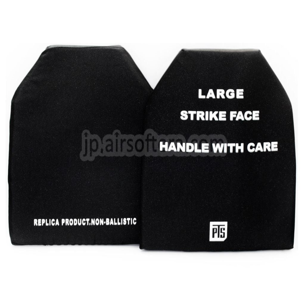 PTS SAPIダミープレート フロント&バック Lサイズ 2枚